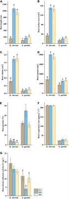 Linkage Between Mangrove Seedling Colonization, Sediment Traits, and Nitrogen Input